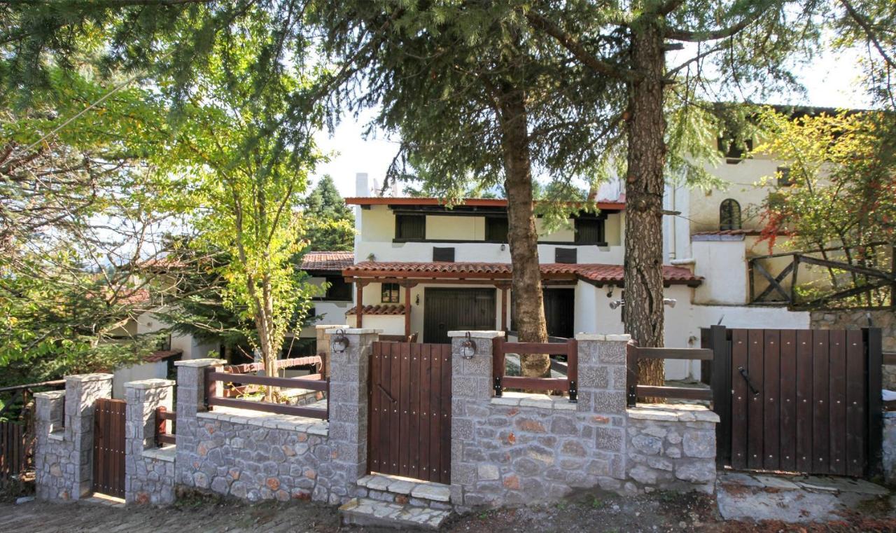 Dandy Villas Agoriani - Chalet Ivoni - Fireplace Eptalofos Ngoại thất bức ảnh